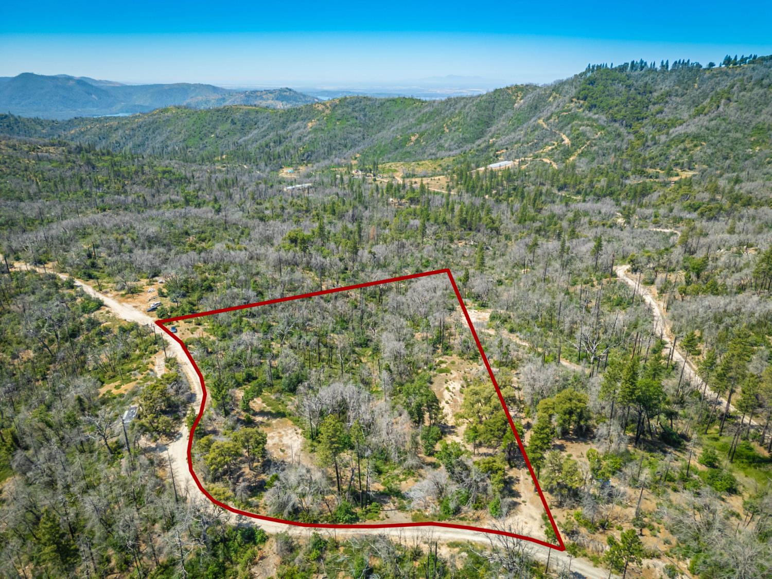 Possum Lane, Berry Creek, California image 14