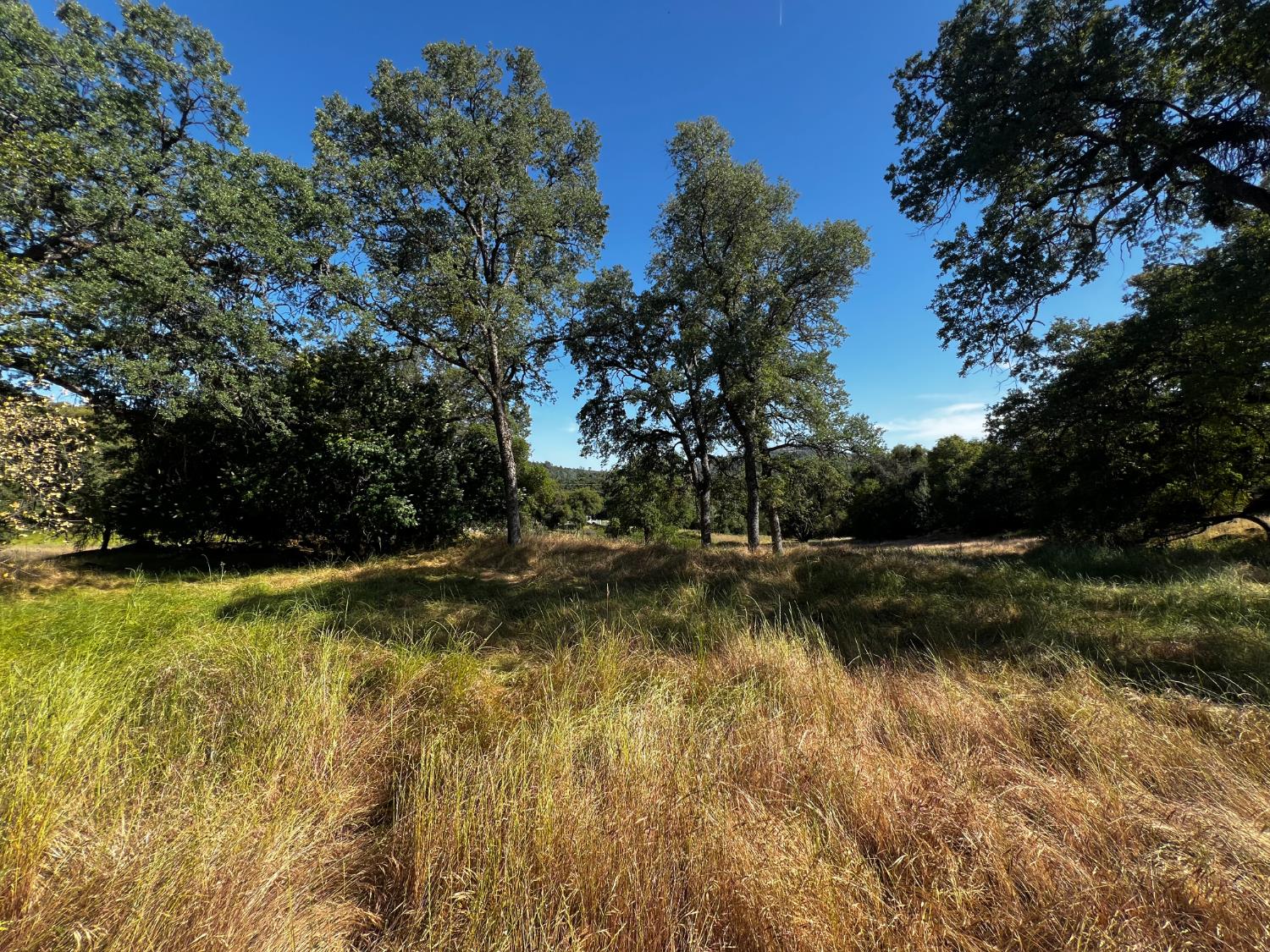 La Mesa Lane, Somerset, California image 10