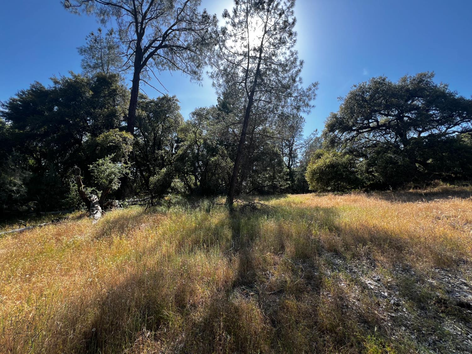 La Mesa Lane, Somerset, California image 13