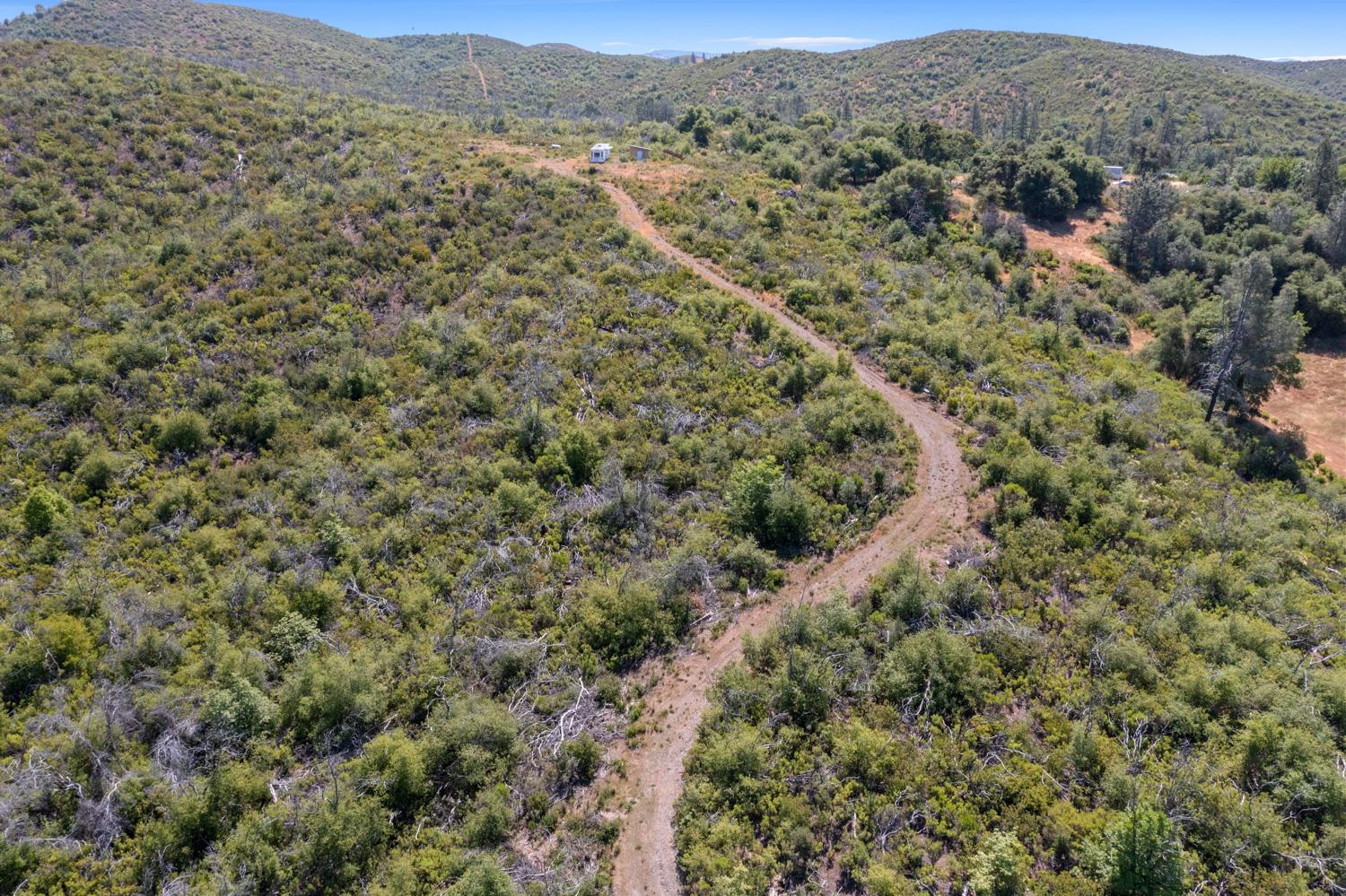 Starlight Lane, Mountain Ranch, California image 4