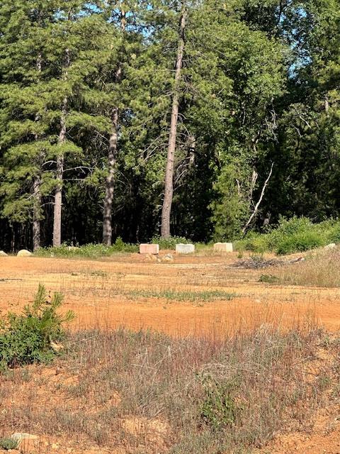 Greenhorn Road, Grass Valley, California image 4
