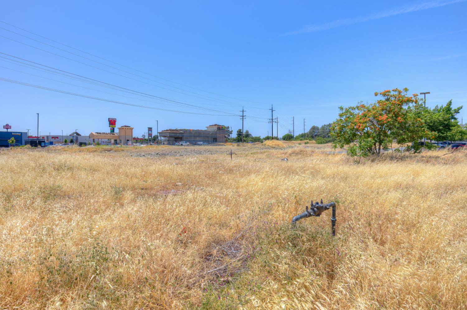 Feather River Boulevard, Oroville, California image 9