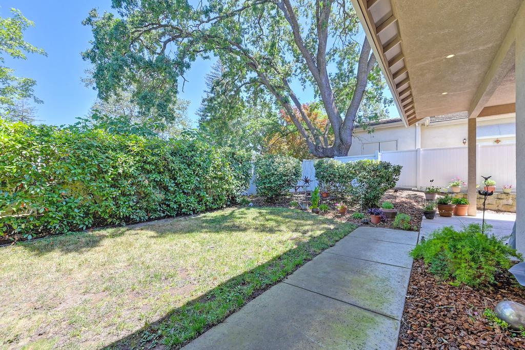 Wachtel Way, Citrus Heights, California image 46