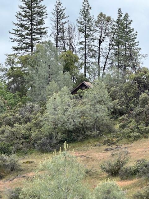 Quarry Turn Road, Foresthill, California image 2