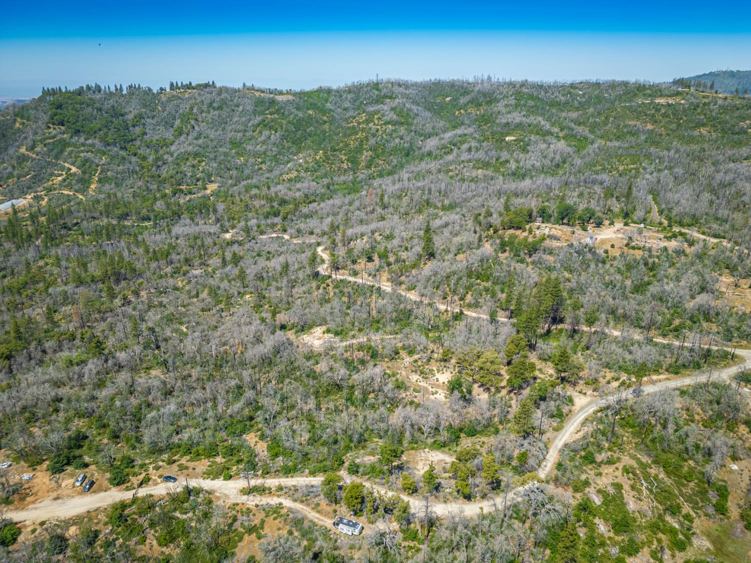 Possum Lane, Berry Creek, California image 22