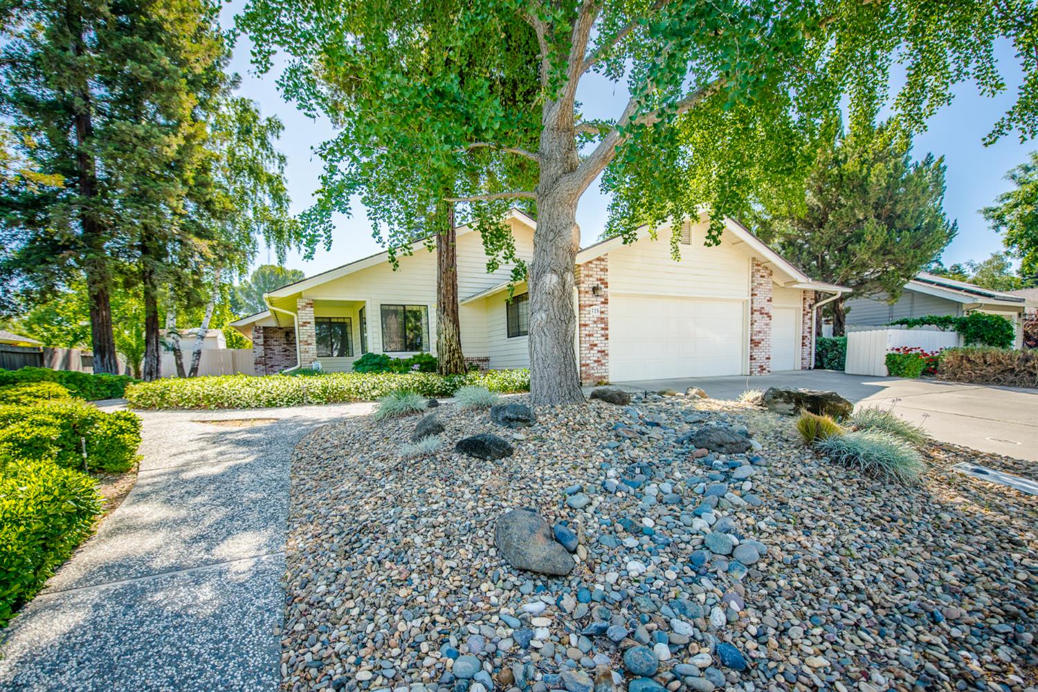 Fairview Drive, Woodland, California image 2