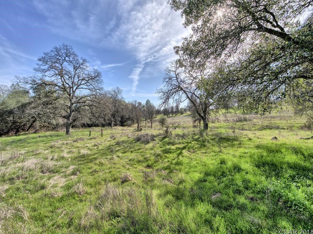 Murphys Grade Road, Angels Camp, California image 21