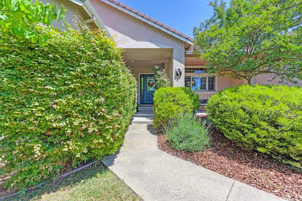 Wachtel Way, Citrus Heights, California image 5
