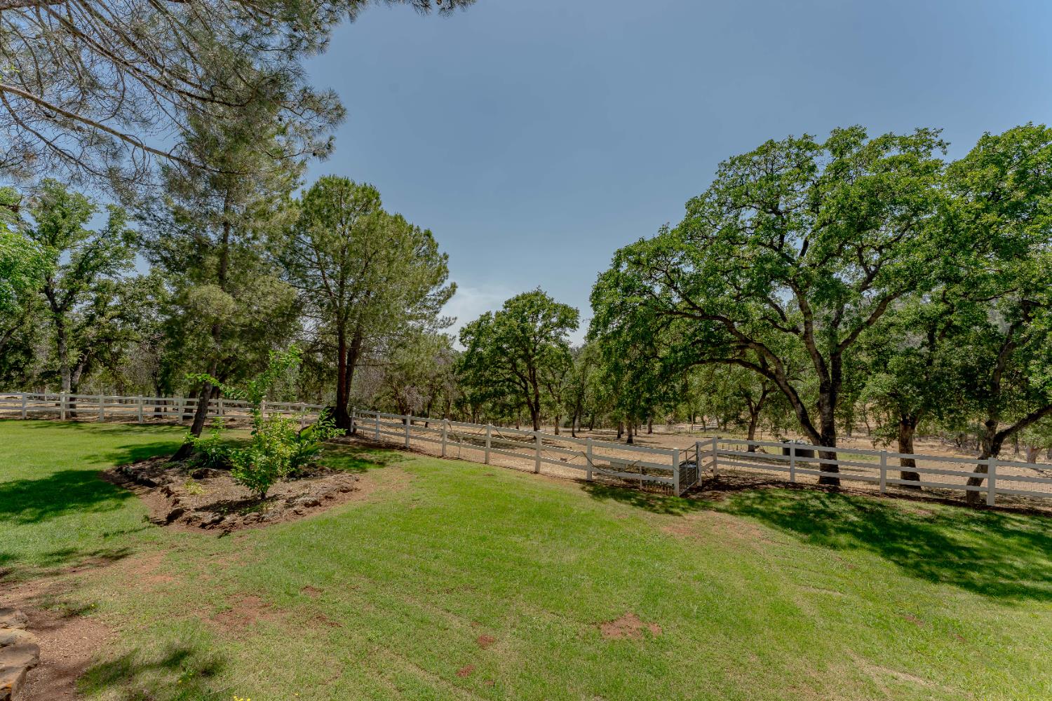 Frontier Trail, Browns Valley, California image 18