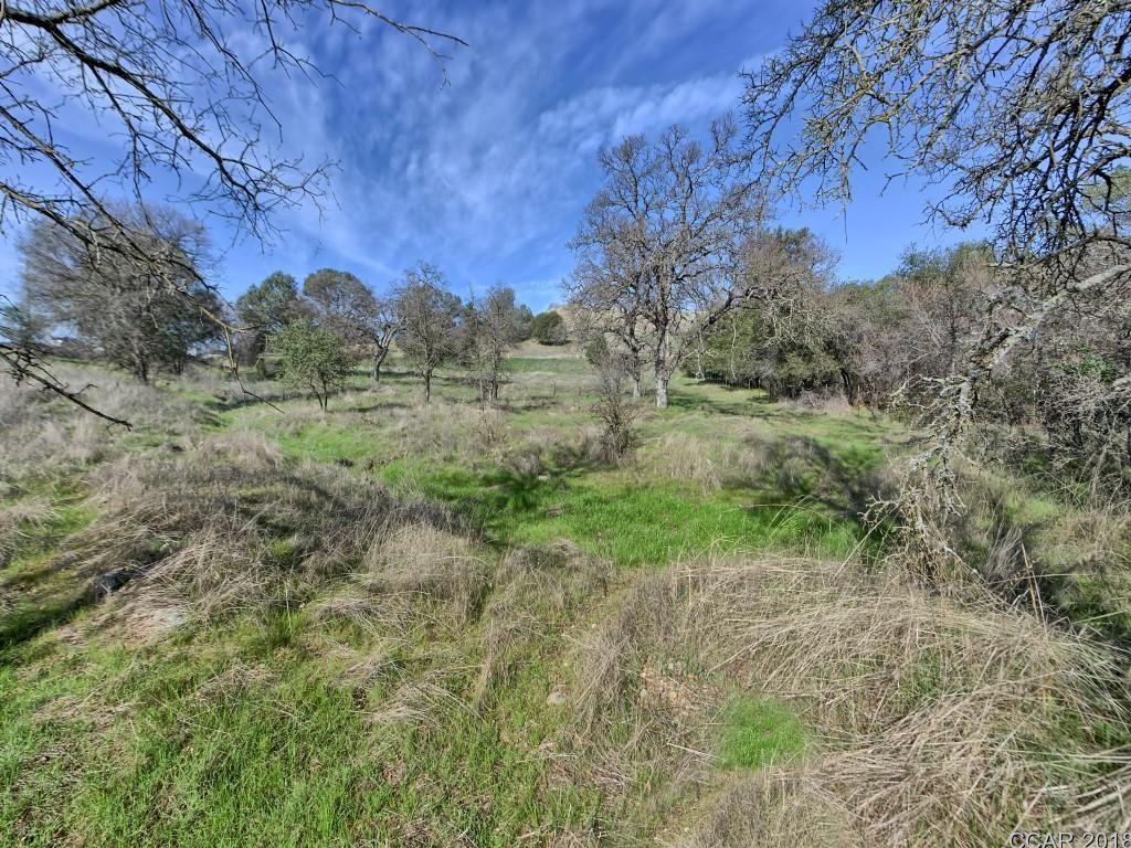 Murphys Grade Road, Angels Camp, California image 20