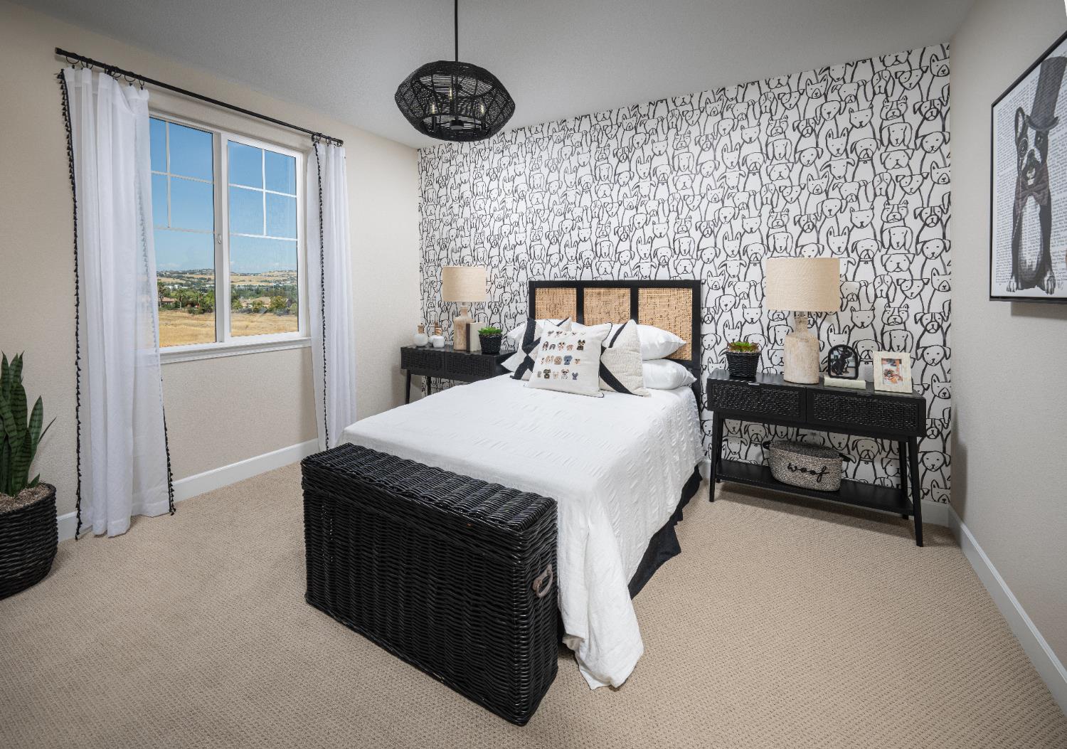 Brooks Circle, Folsom, California image 4