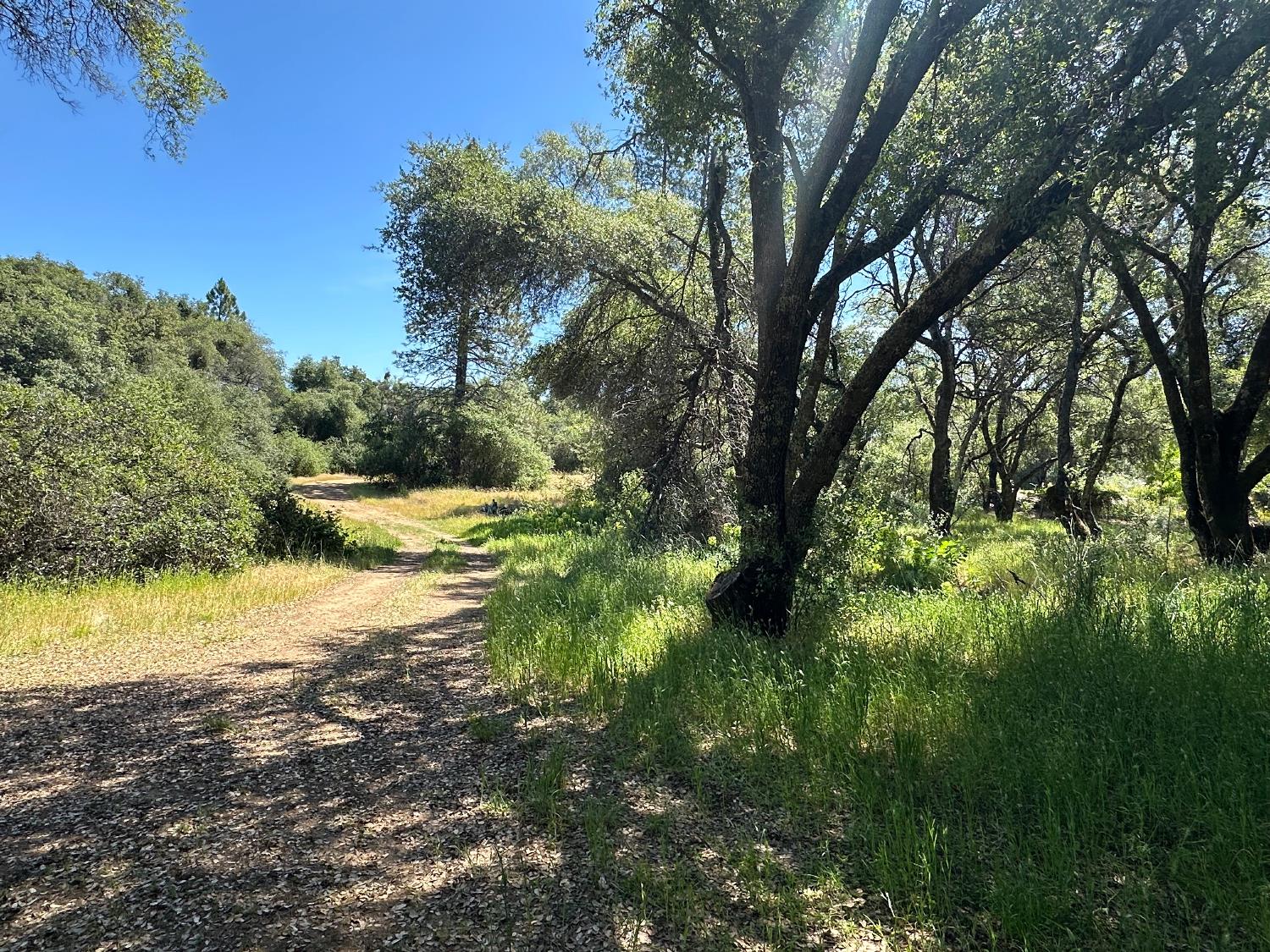 Perimeter Road, Grass Valley, California image 12