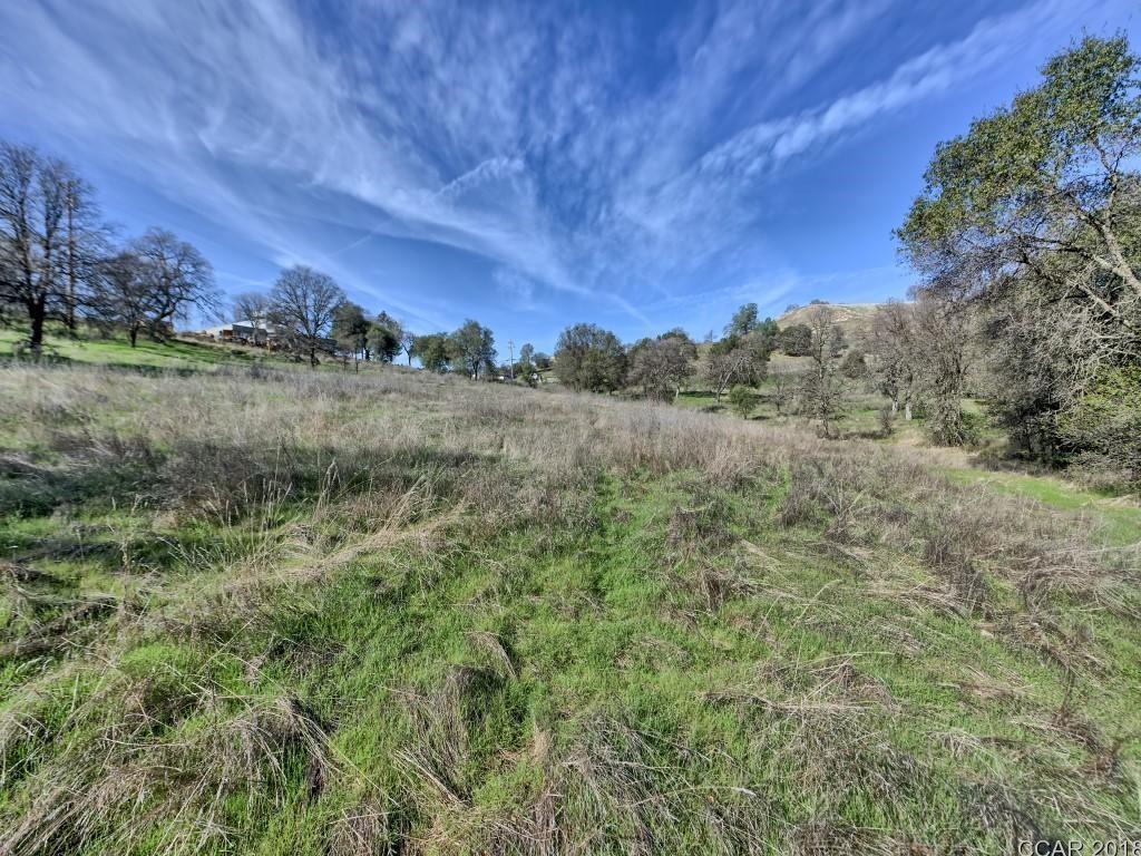 Murphys Grade Road, Angels Camp, California image 14