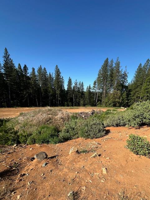 Greenhorn Road, Grass Valley, California image 5