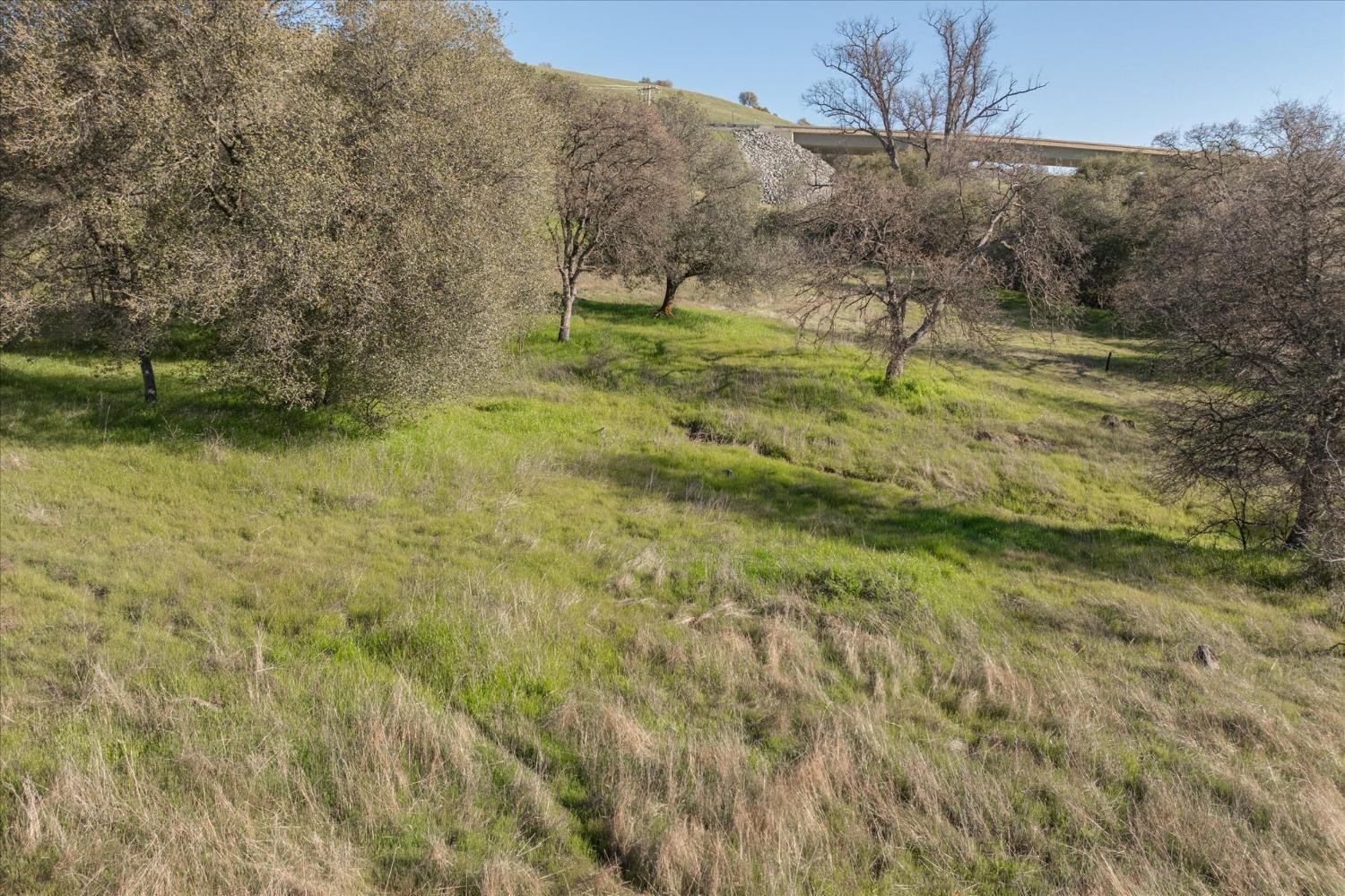Murphys Grade Road, Angels Camp, California image 17