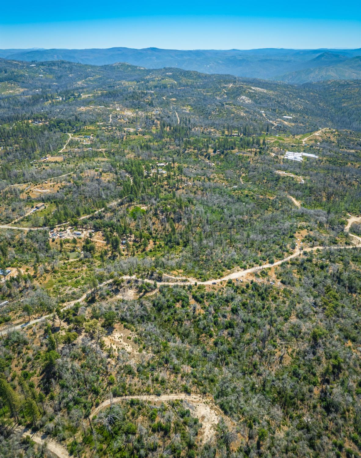 Possum Lane, Berry Creek, California image 30