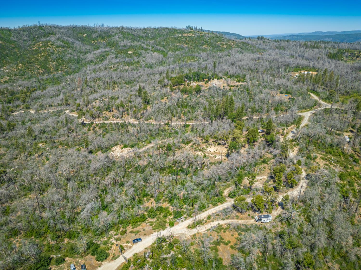 Possum Lane, Berry Creek, California image 20