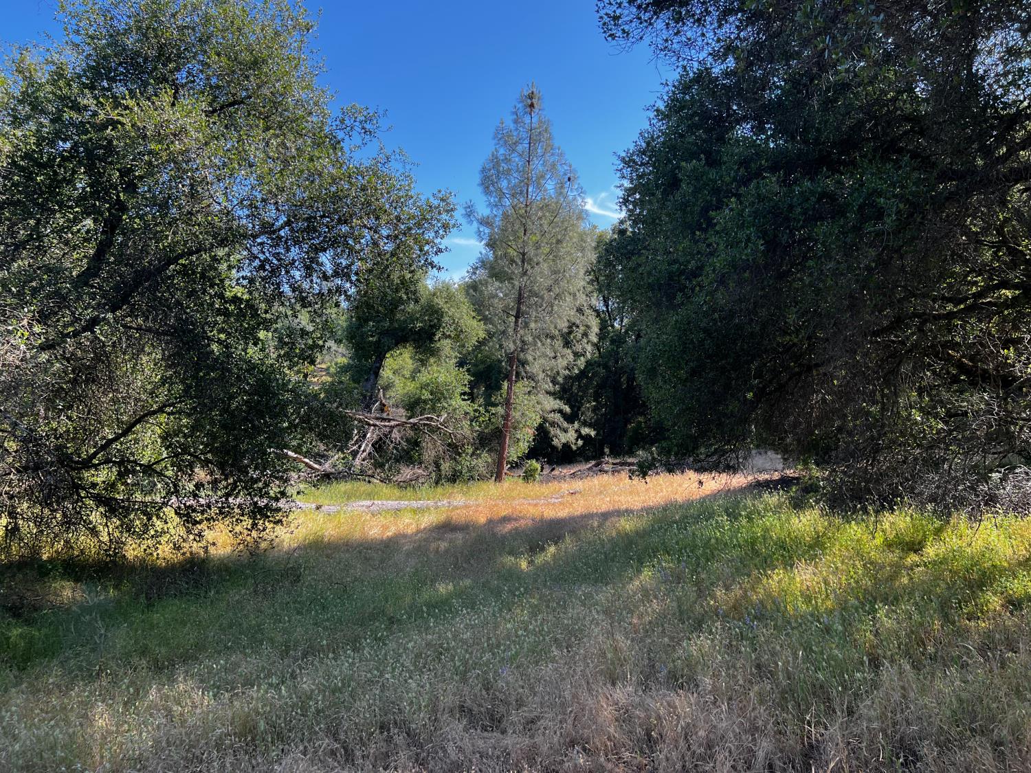 La Mesa Lane, Somerset, California image 15