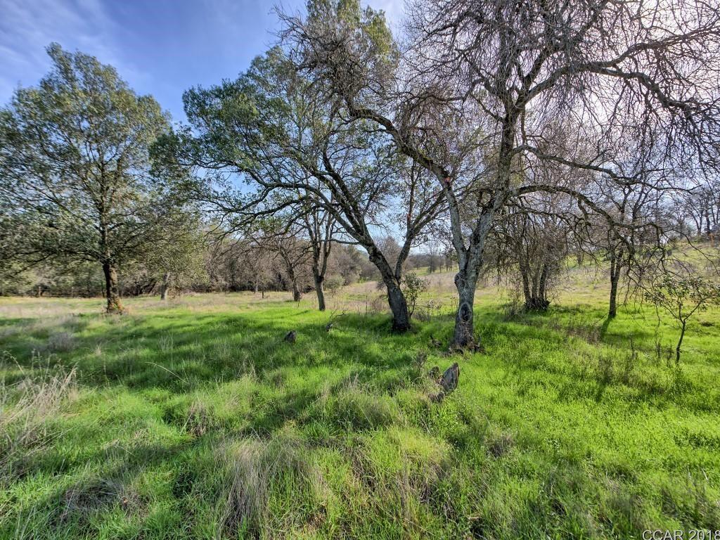 Murphys Grade Road, Angels Camp, California image 7