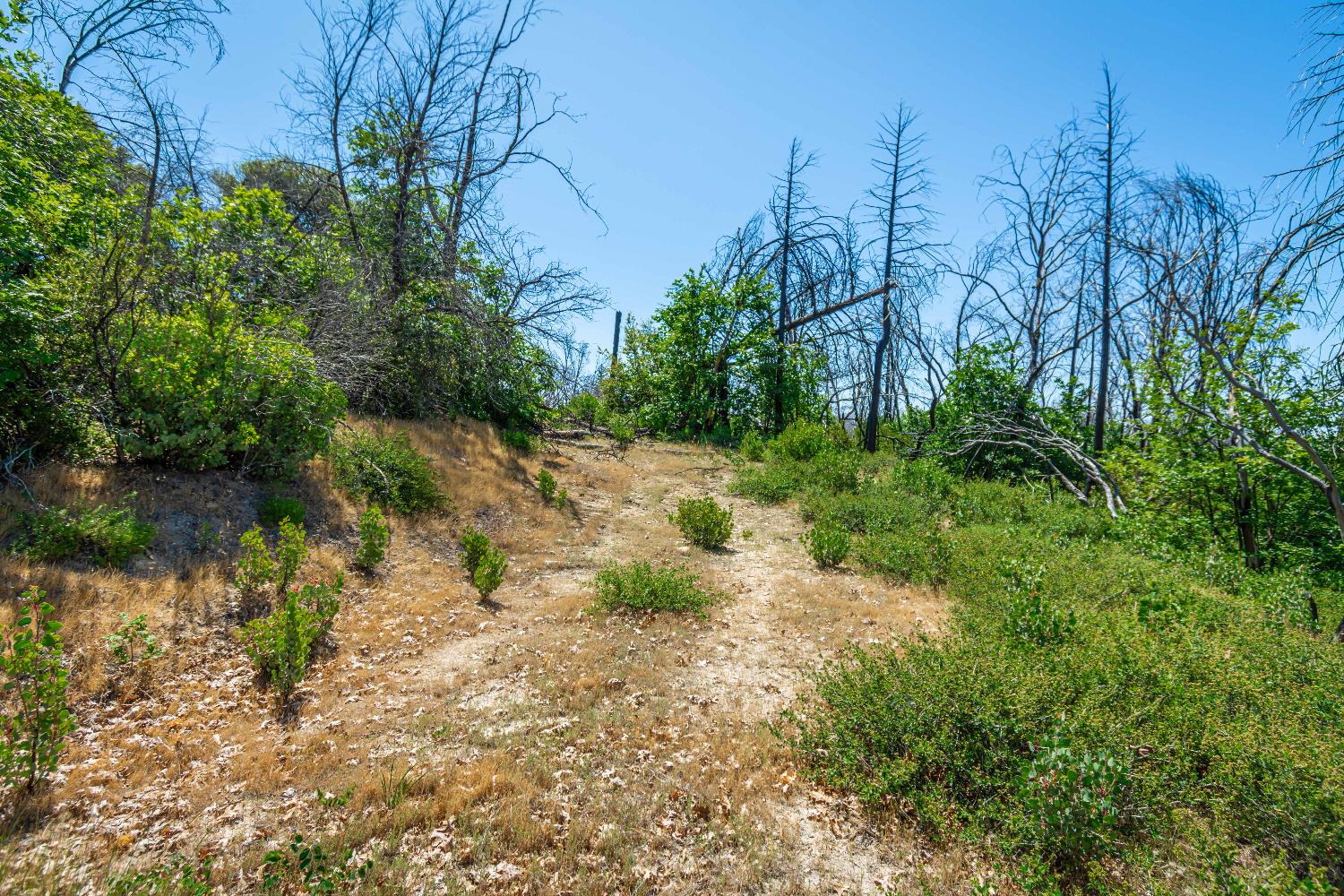 Detail Gallery Image 62 of 64 For 0 Possum Ln, Berry Creek,  CA 95916 - – Beds | – Baths