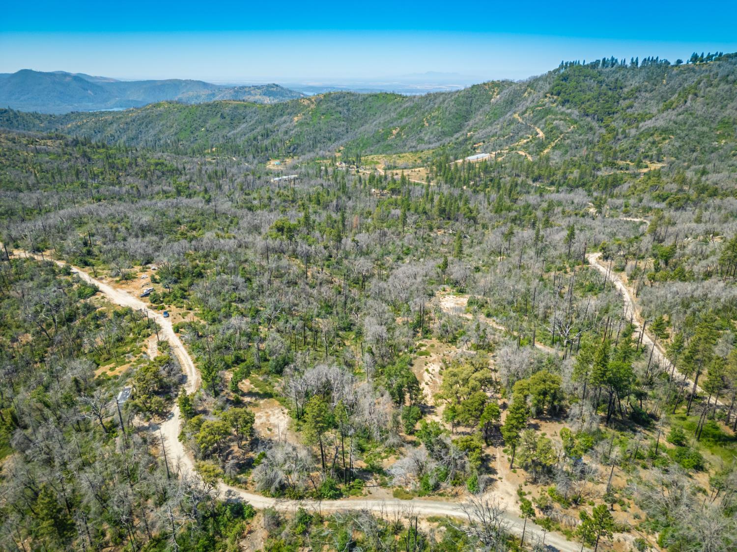 Possum Lane, Berry Creek, California image 15