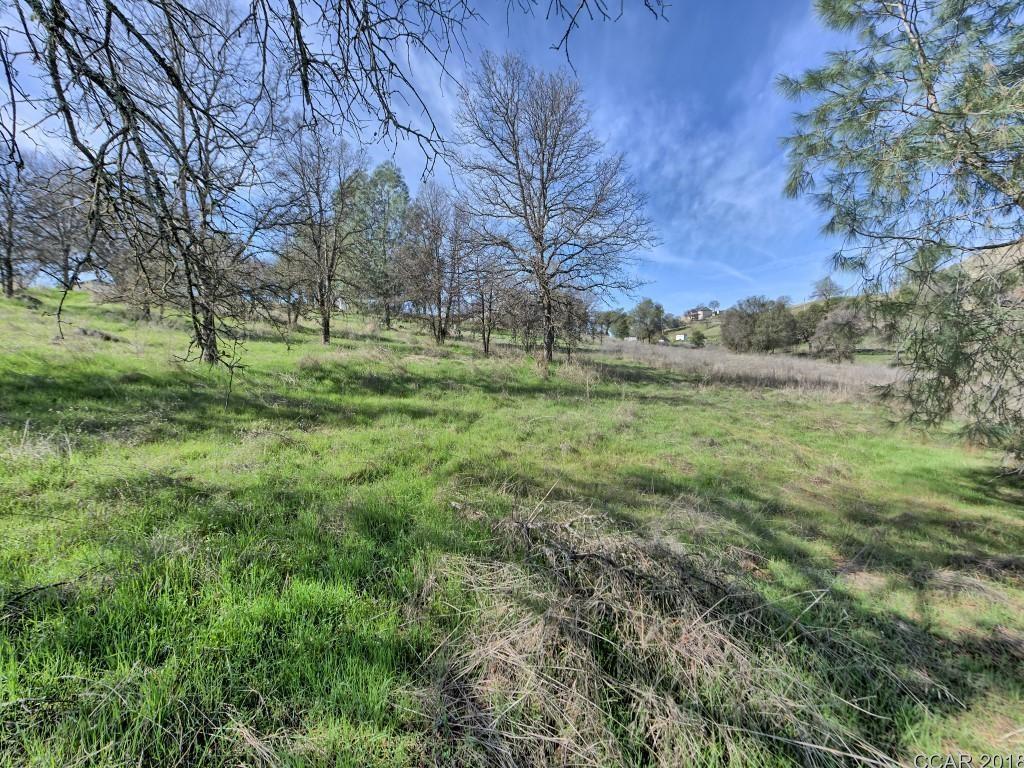 Murphys Grade Road, Angels Camp, California image 15