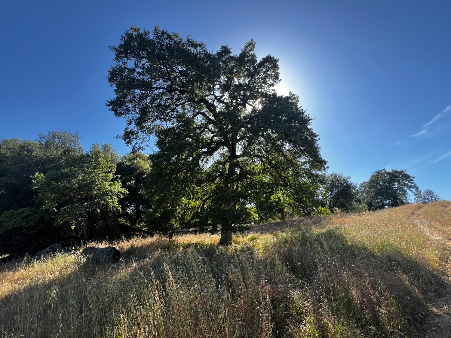La Mesa Lane, Somerset, California image 25