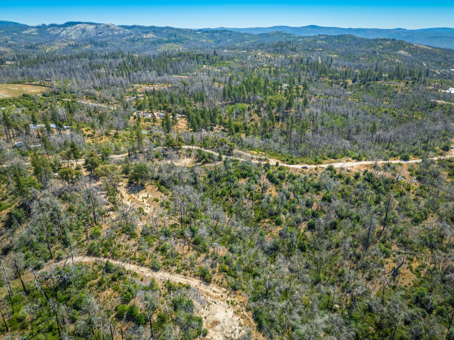 Possum Lane, Berry Creek, California image 7