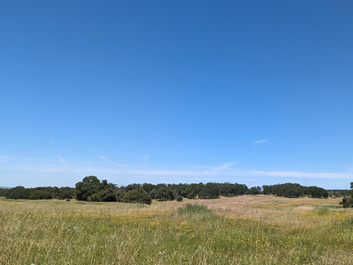 Latrobe Road, Sloughhouse, California image 1