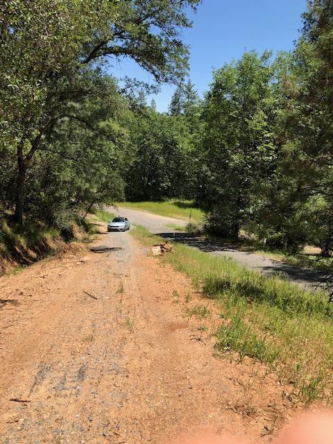 Fullmoon Drive, Placerville, California image 18