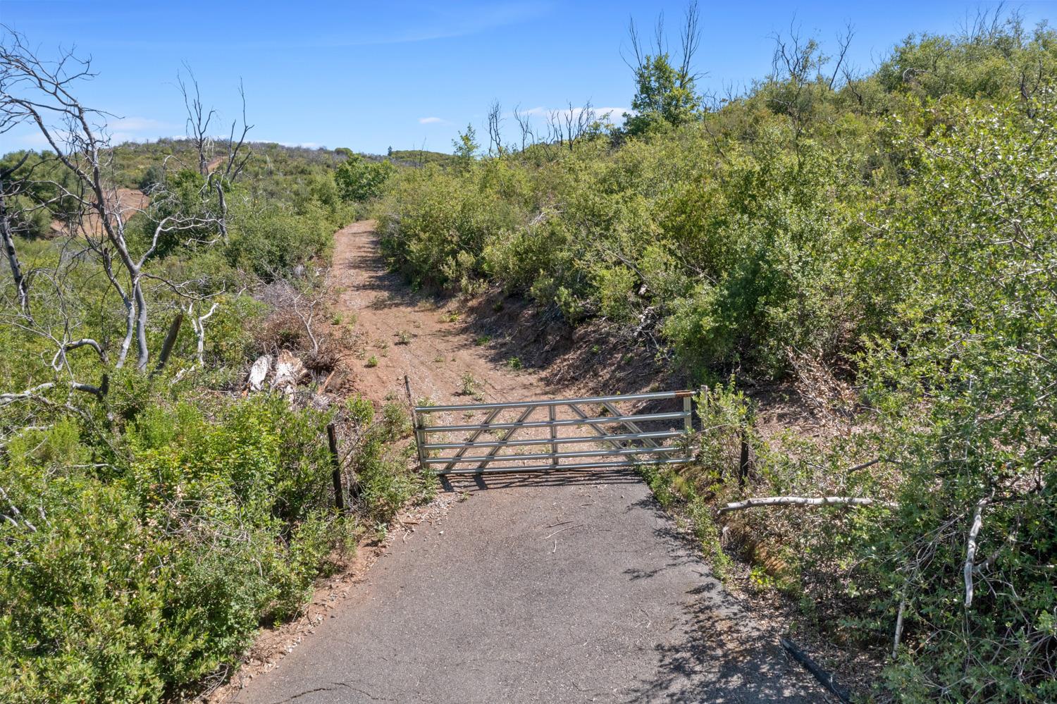 Starlight Lane, Mountain Ranch, California image 3