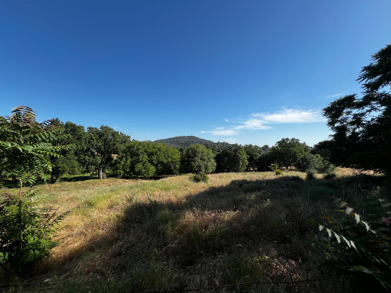 La Mesa Lane, Somerset, California image 31