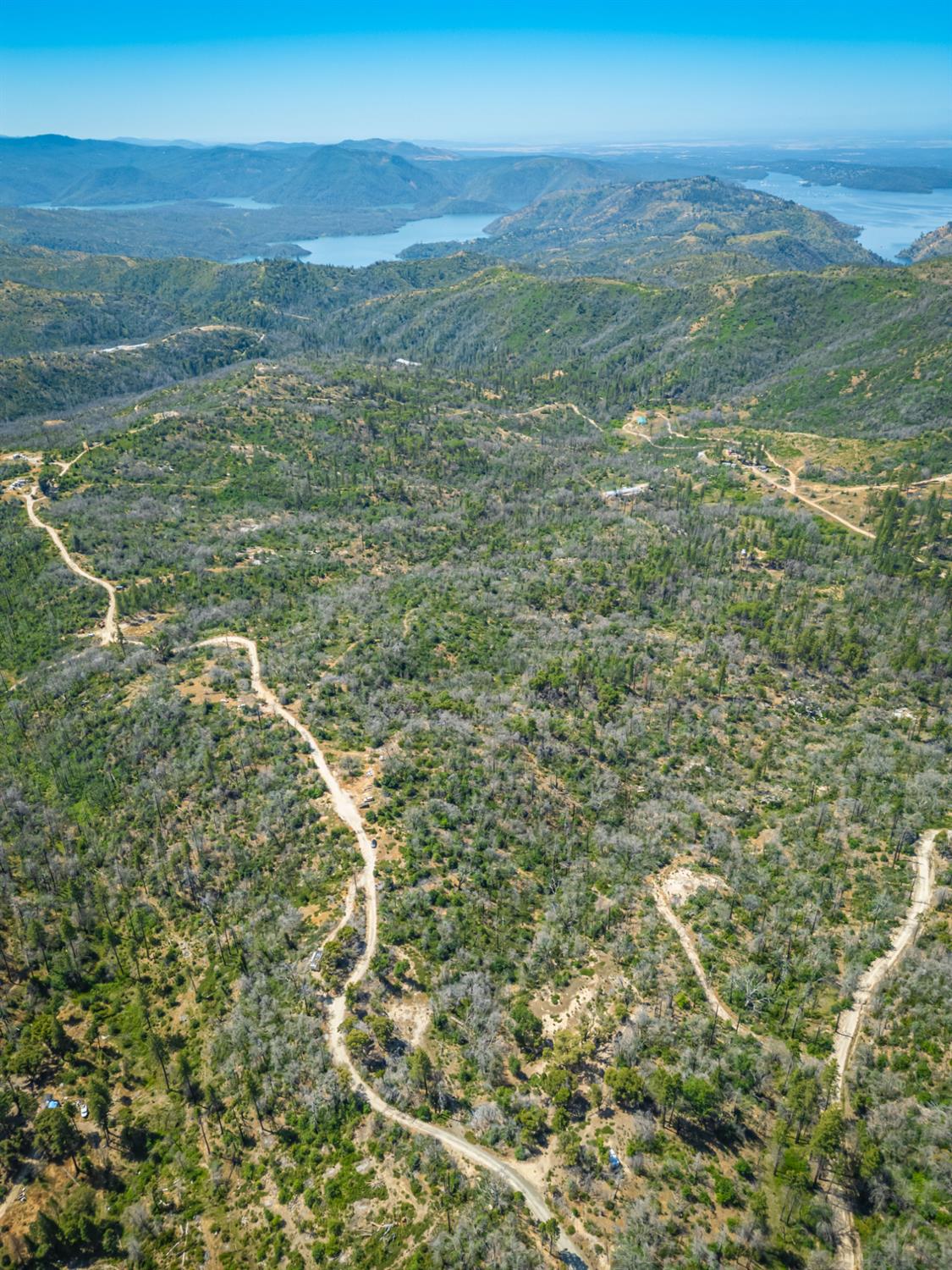 Possum Lane, Berry Creek, California image 27