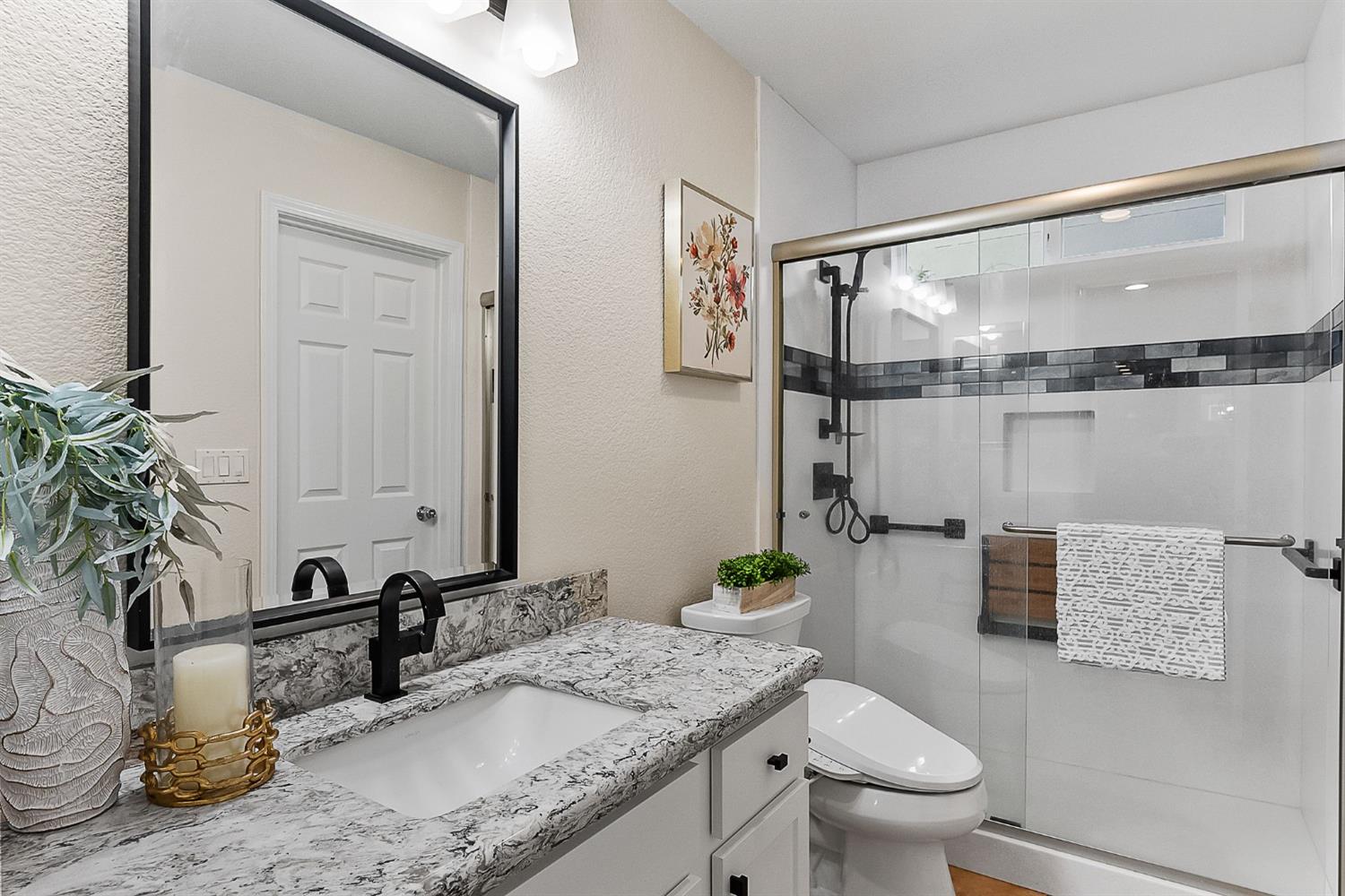Wood Lily Way, Elk Grove, California image 8