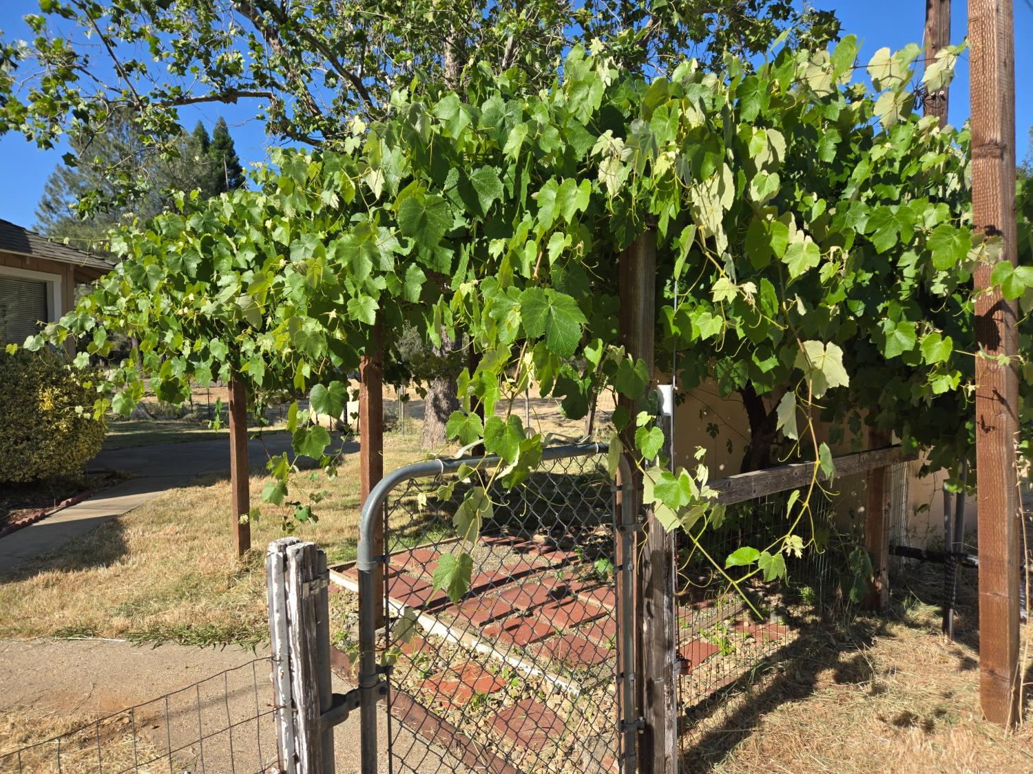 Dry Creek Road, Auburn, California image 10