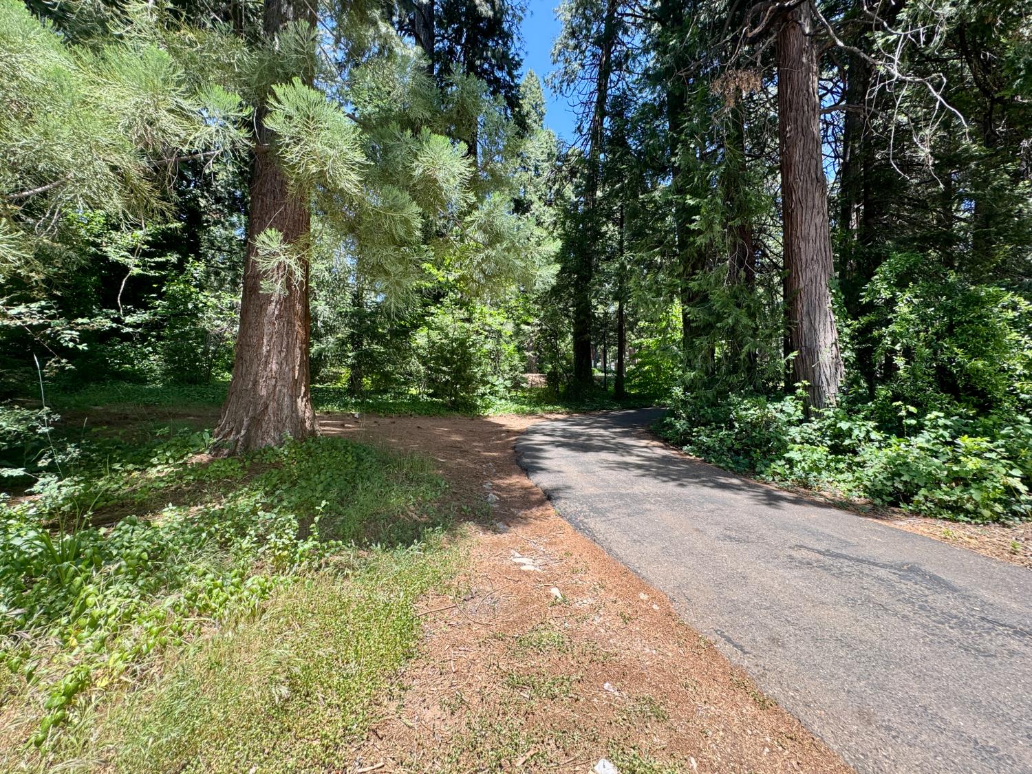 Pony Express Trail, Pollock Pines, California image 45