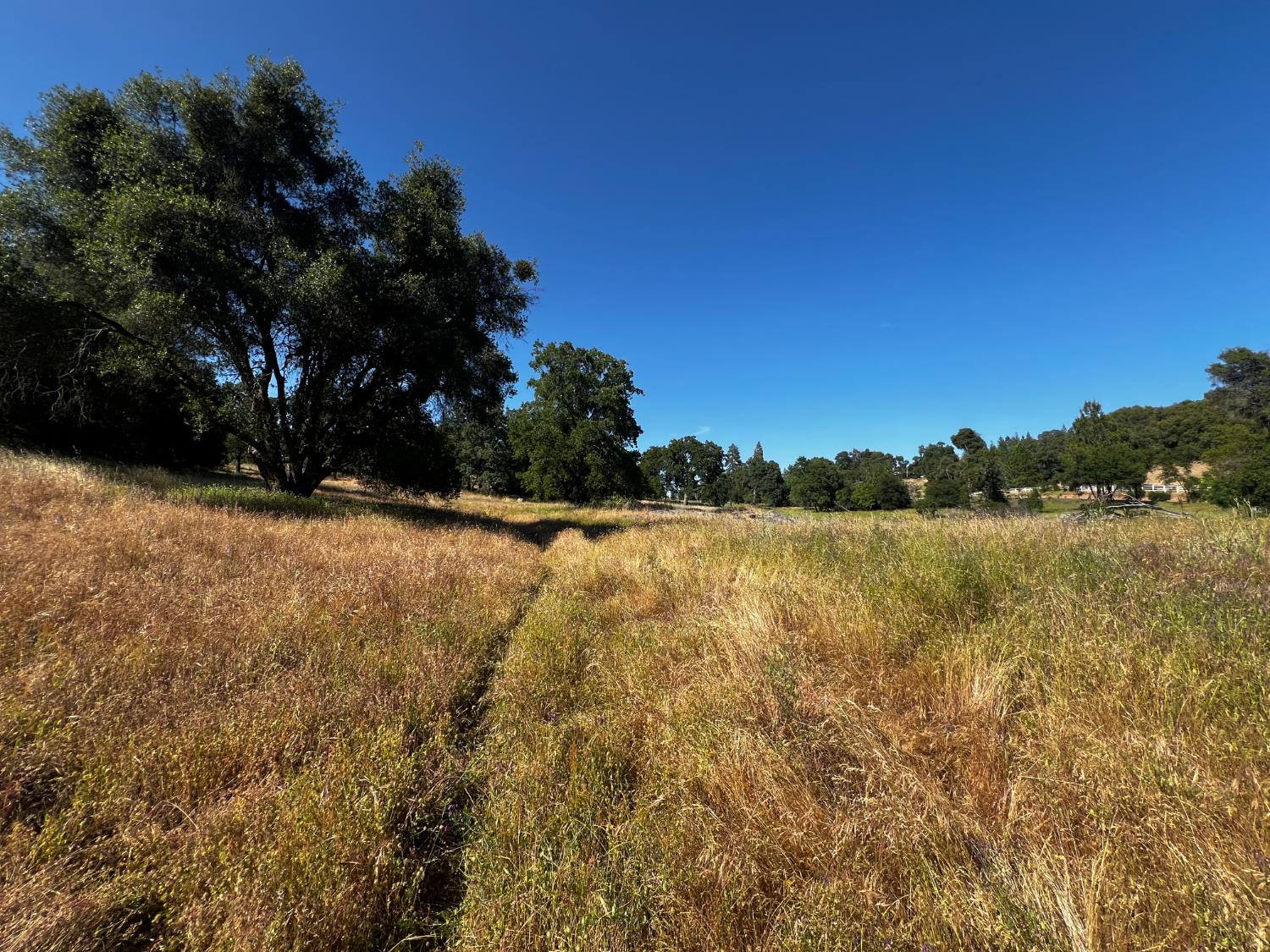 La Mesa Lane, Somerset, California image 17