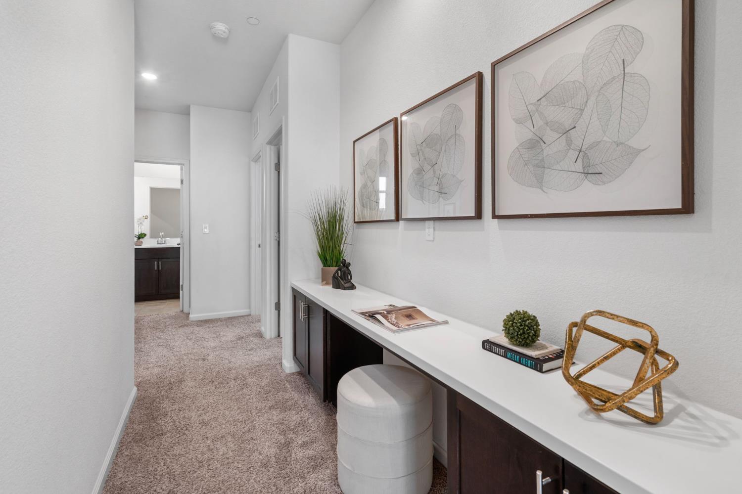 Diablo View Drive, Manteca, California image 33