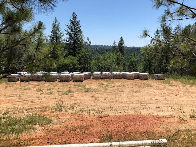 Fullmoon Drive, Placerville, California image 8