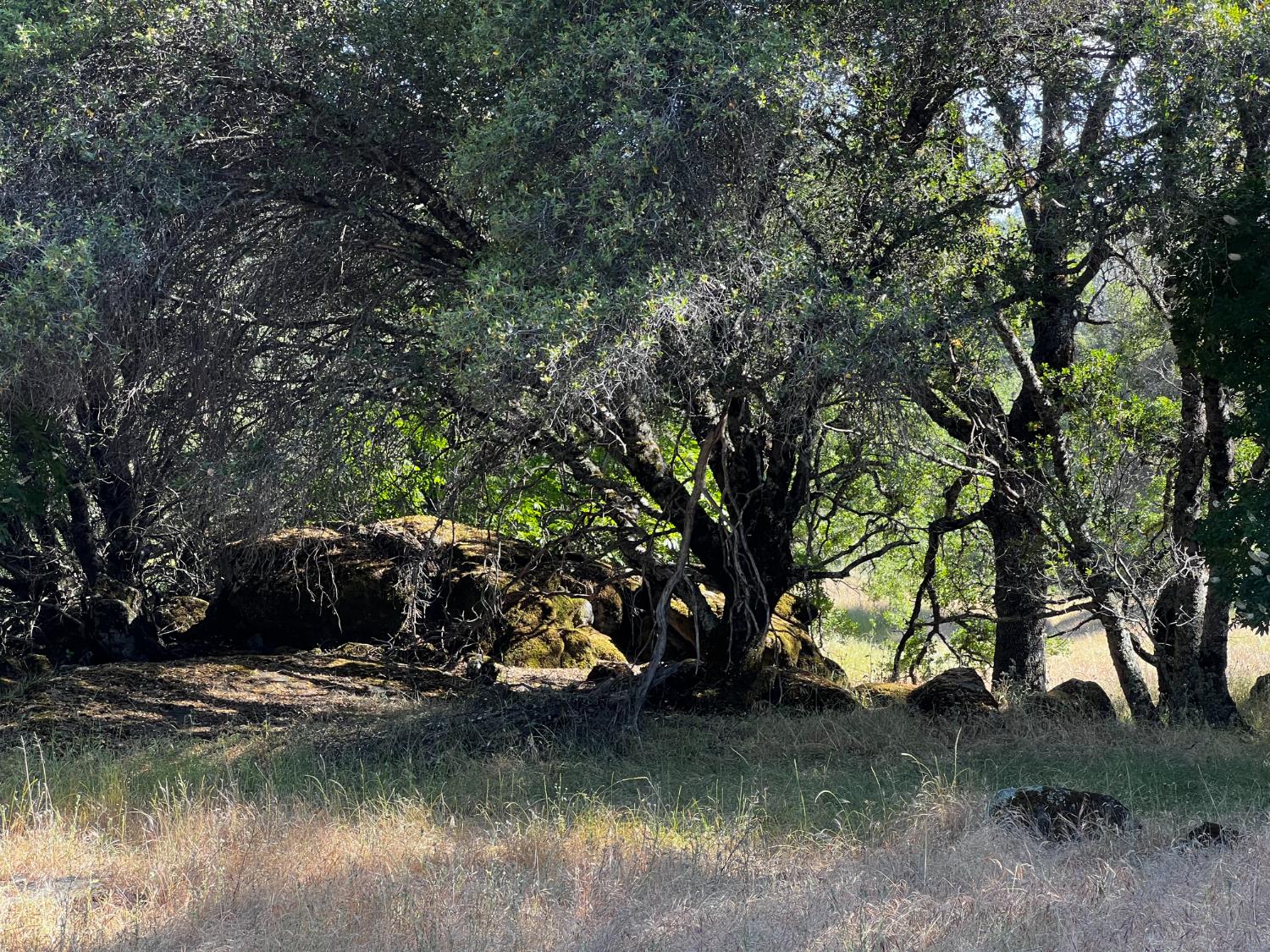 La Mesa Lane, Somerset, California image 28