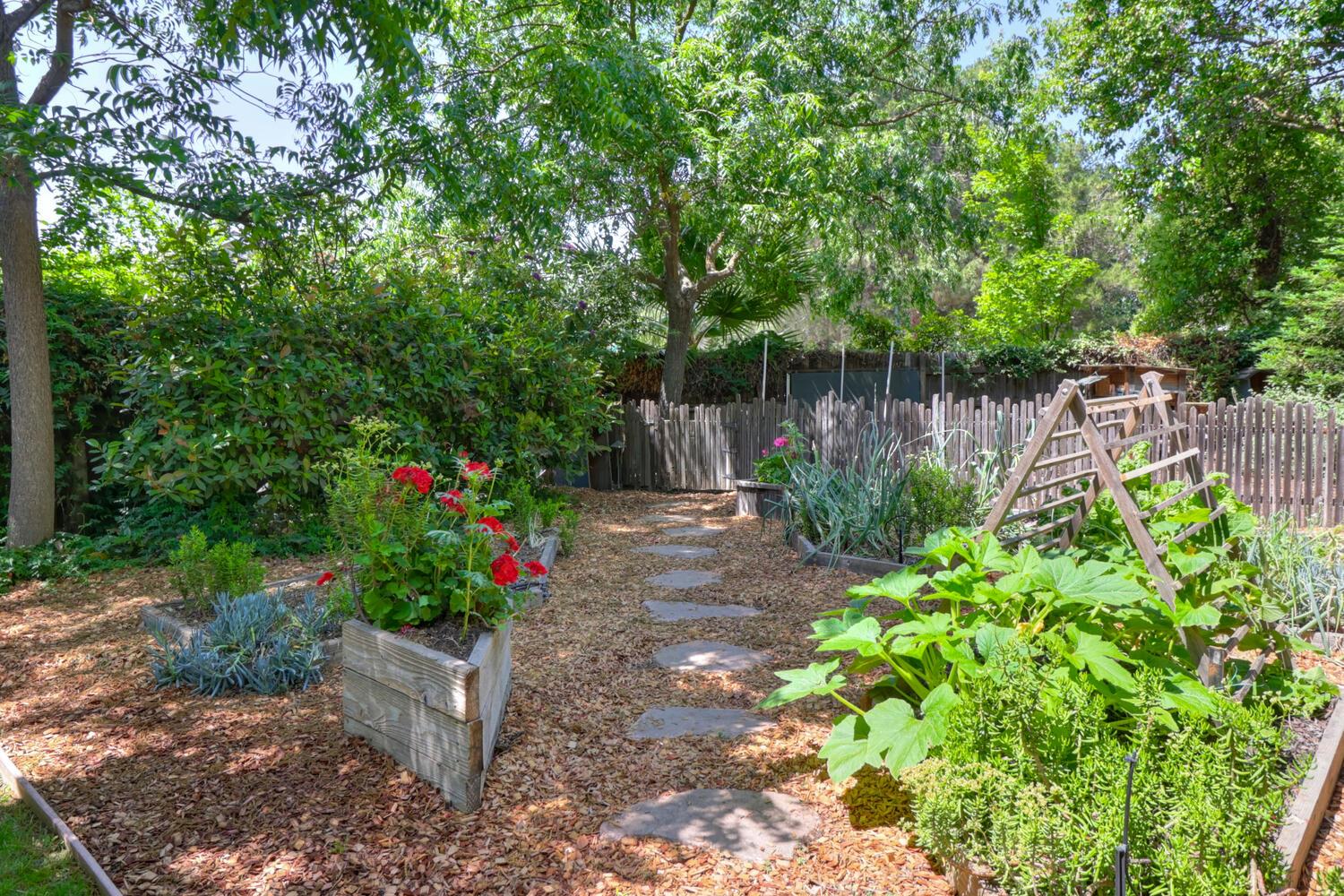 Atlantis Drive, Davis, California image 39