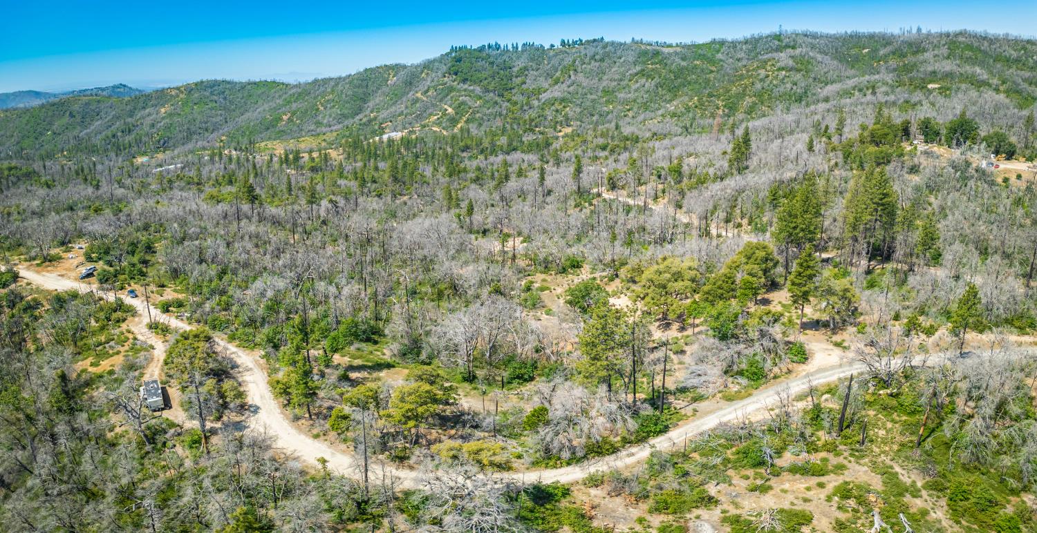 Possum Lane, Berry Creek, California image 35