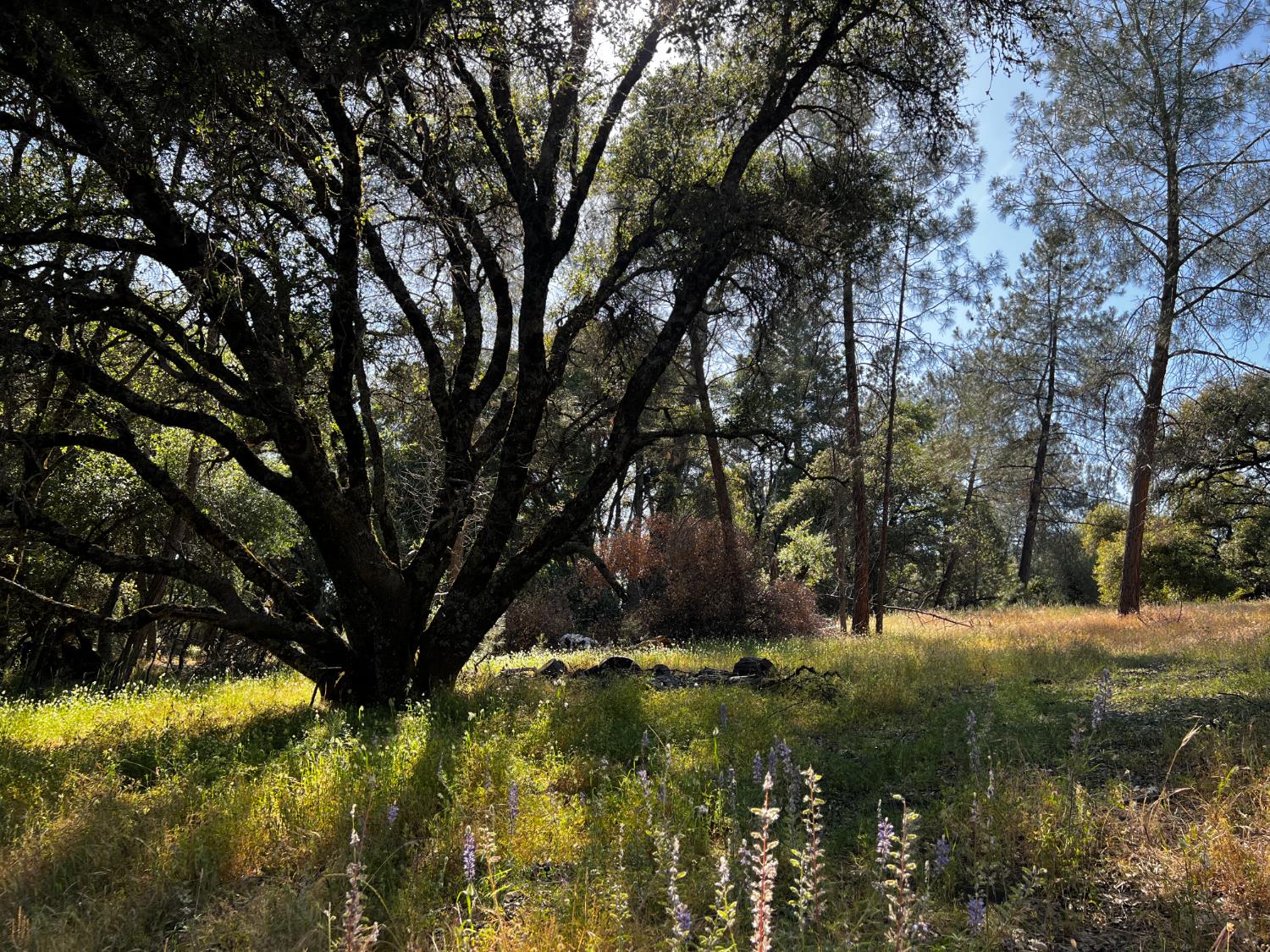 La Mesa Lane, Somerset, California image 16