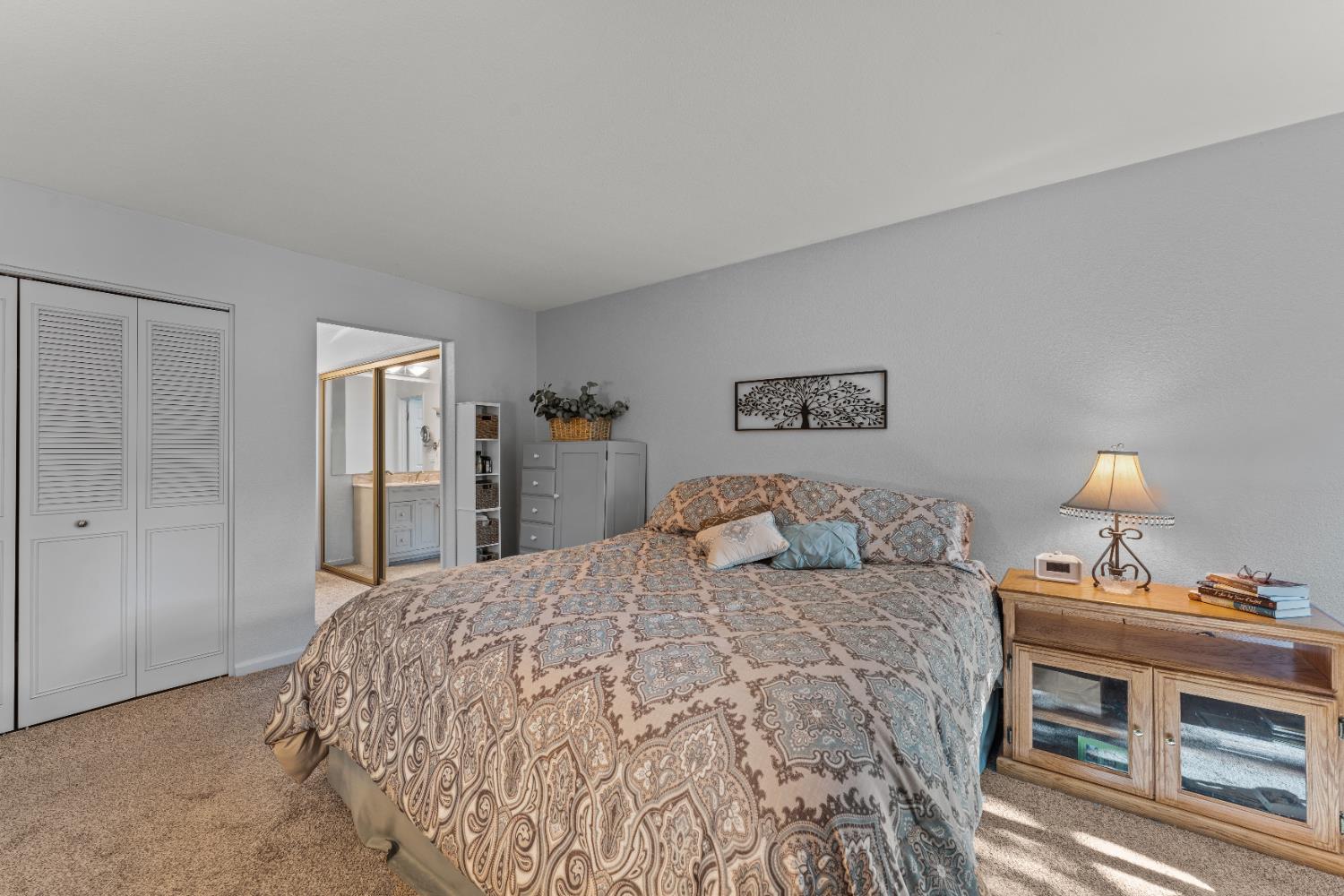 Toluca Lane, Citrus Heights, California image 20