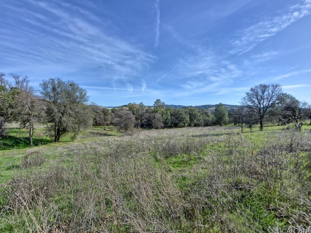 Murphys Grade Road, Angels Camp, California image 2