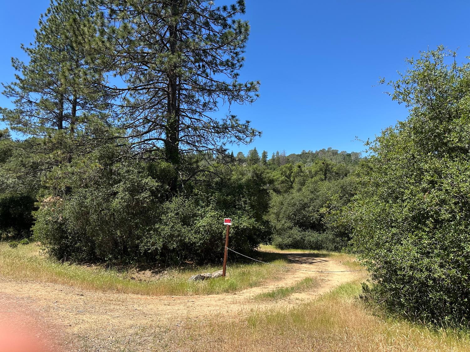 Perimeter Road, Grass Valley, California image 11