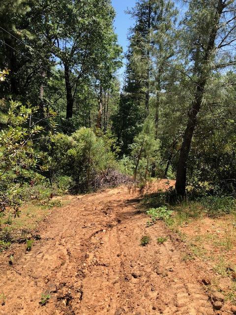 Fullmoon Drive, Placerville, California image 20