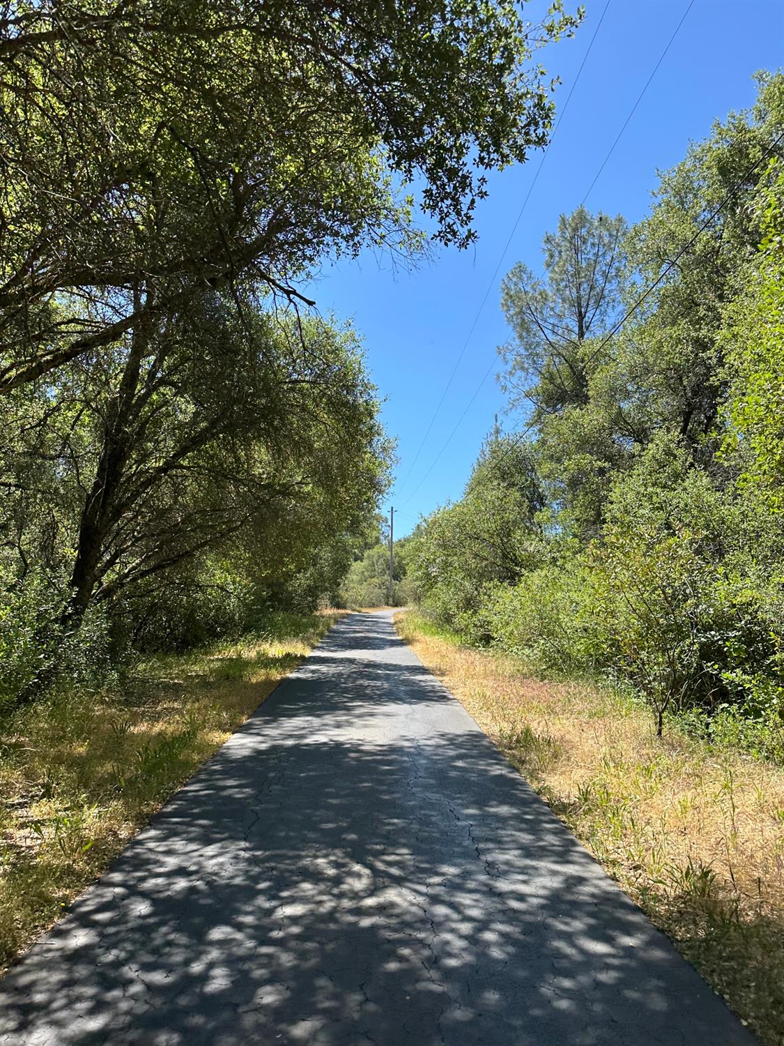 Perimeter Road, Grass Valley, California image 7
