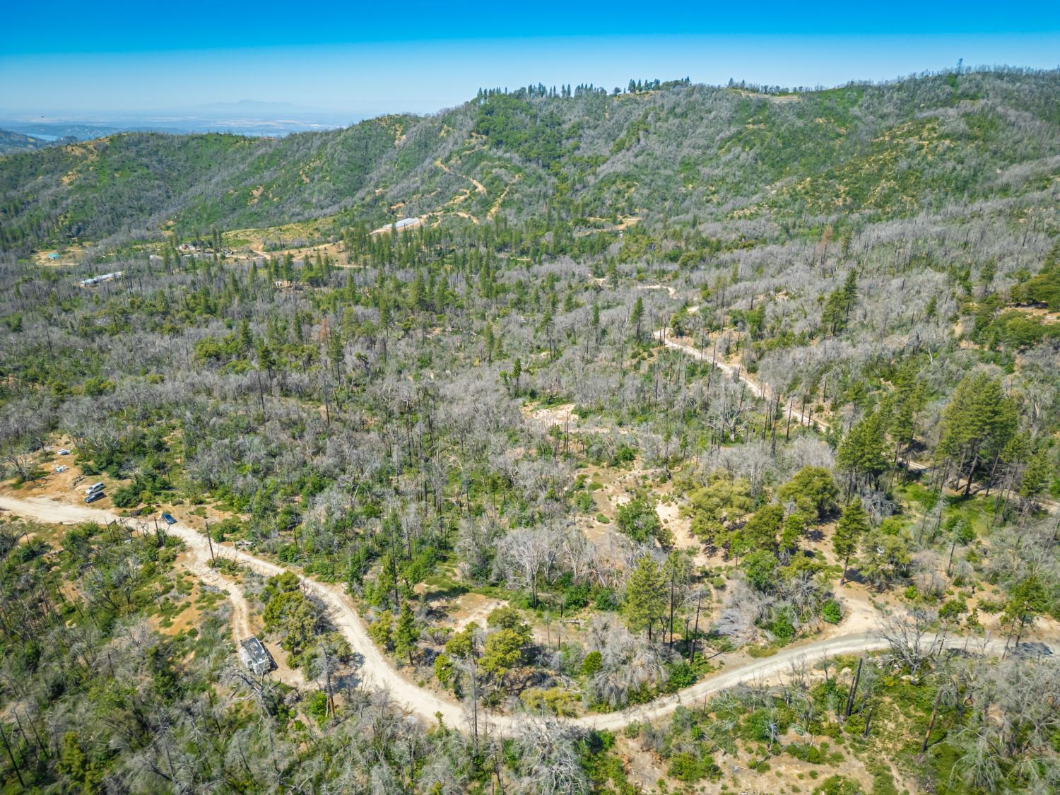 Possum Lane, Berry Creek, California image 16