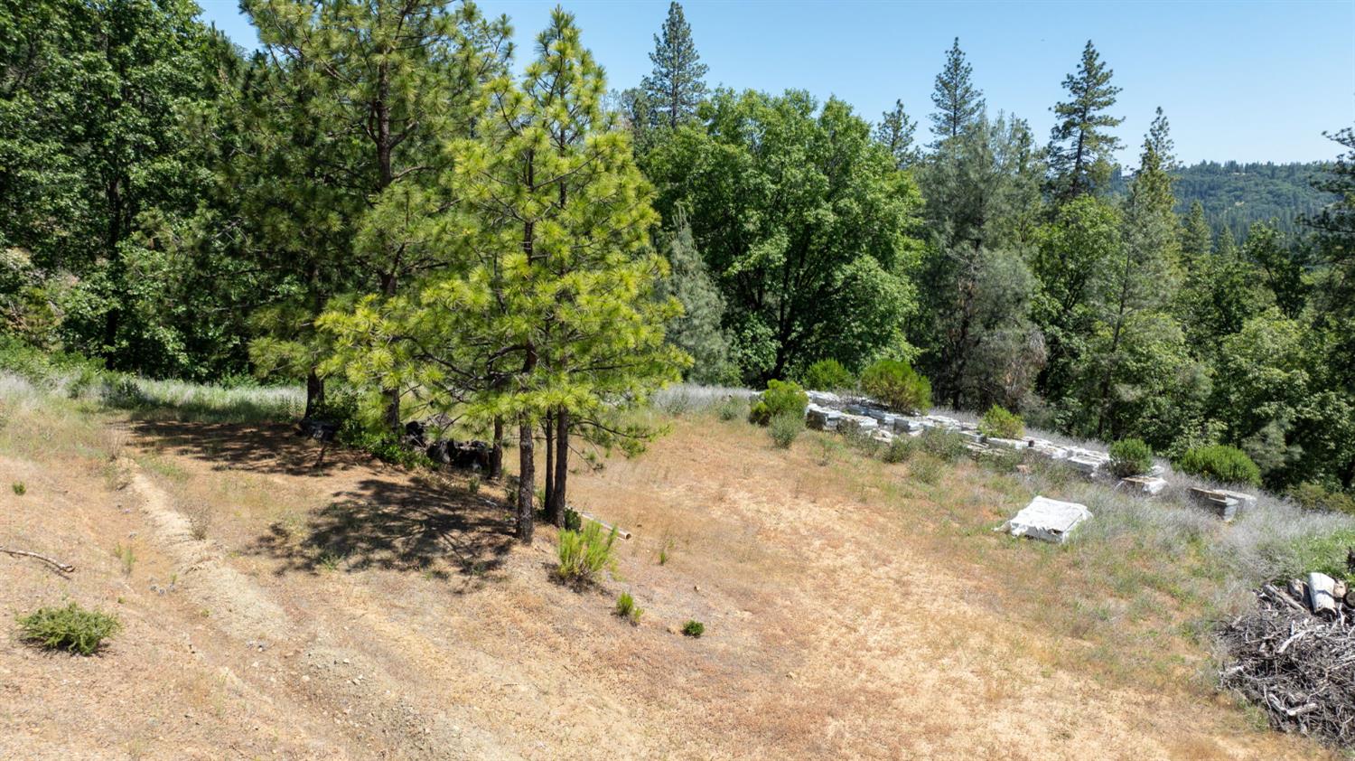 Fullmoon Drive, Placerville, California image 24